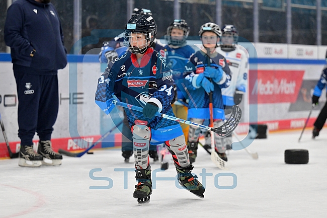 Eishockey, Herren, DEL, Saison 2024-2025, ERC Ingolstadt - Kids On Ice Day, 11.01.2025