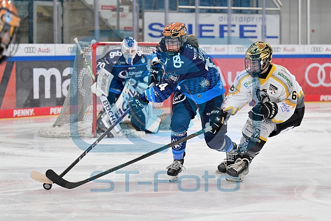 Eishockey, Frauen, DFEL, Saison 2024-2025, ERC Ingolstadt - Mad Dogs Mannheim, 23.11.2024
