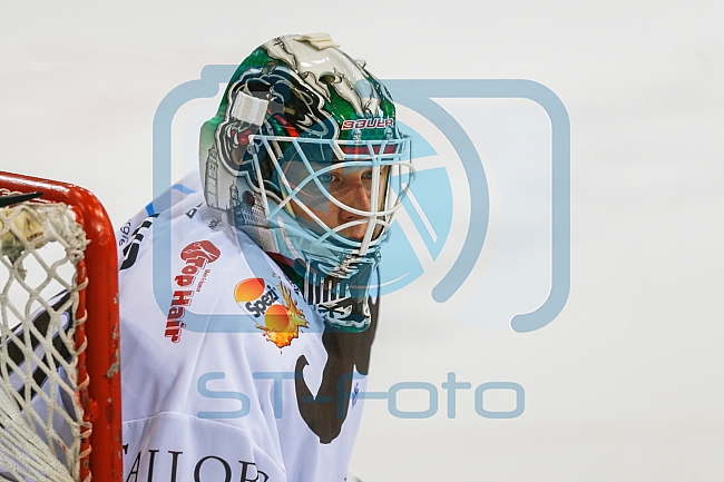 ERC Ingolstadt vs Augsburger Panther, Eishockey, DEL, Deutsche Eishockey Liga, Spieltag 21, 23.11.2016