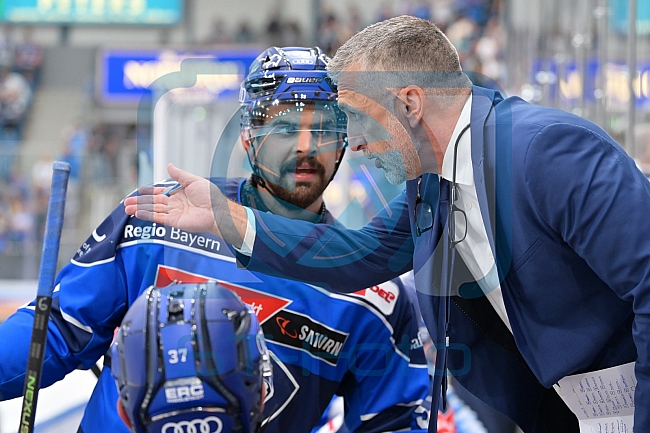 Eishockey, Herren, DEL, Saison 2026-2027, Testspiel, ERC Ingolstadt - EV Zug, 04.09.2026