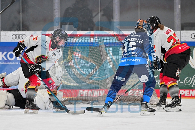 Eishockey, Frauen, DFEL, Saison 2024-2025, ERC Ingolstadt - EC Bergkamener Bären, 04.01.2025