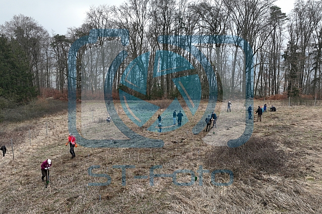 Eishockey, Herren, DEL, Saison 2023-2024, ERC Ingolstadt - Baumpflanzaktion, 03.03.2024