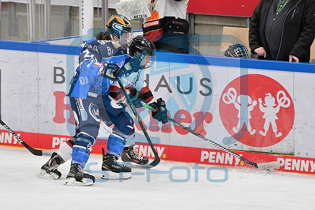 Eishockey, Frauen, DFEL, Saison 2023-2024, ERC Ingolstadt - EC Bergkamener Bären, 28.10.2023