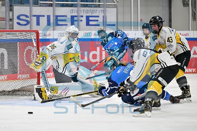 Eishockey, Frauen, DFEL, Saison 2023-2024, ERC Ingolstadt - Mad Dogs Mannheim, 18.02.2024