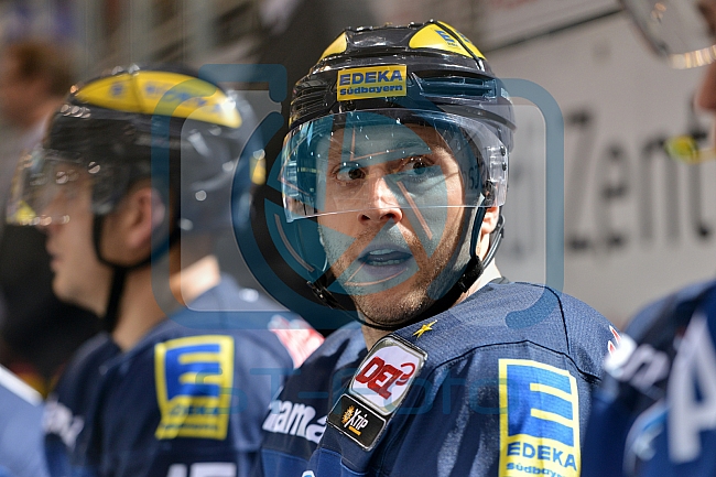 ERC Ingolstadt vs Grizzlys Wolfsburg, Eishockey, DEL, Deutsche Eishockey Liga, 31.01.2016