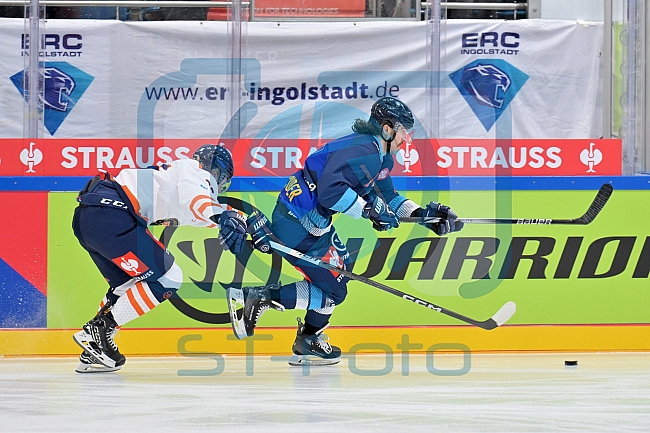Eishockey, Mens, CHL, Season 2023-2024, ERC Ingolstadt - Växjö Lakers, 14.11.2023