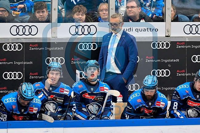 Eishockey, Herren, DEL, Saison 2025-2026, Spiel 33, ERC Ingolstadt - Grizzlys Wolfsburg, 28.12.2025