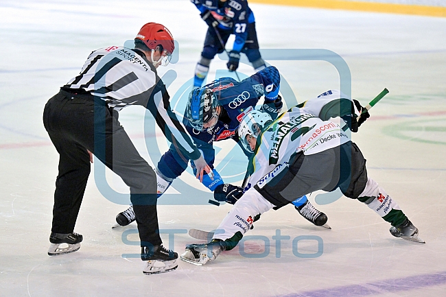 Eishockey, Herren, DEL, Saison 2024-2025, EHC Olten - ERC Ingolstadt, 25.08.2024