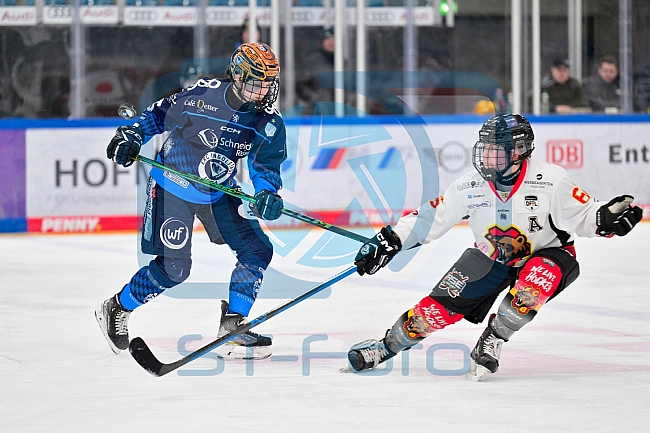 Eishockey, Frauen, DFEL, Saison 2024-2025, ERC Ingolstadt - EC Bergkamener Bären, 05.01.2025