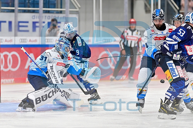 Eishockey, Herren, DEL, Saison 2024-2025, Vorbereitung, ERC Ingolstadt - Dresdner Eislöwen, 18.08.2024