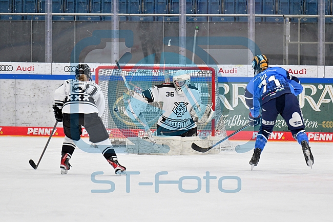 Eishockey, Frauen, DFEL, Saison 2023-2024, ERC Ingolstadt - Amsterdam Tigers, 06.01.2024