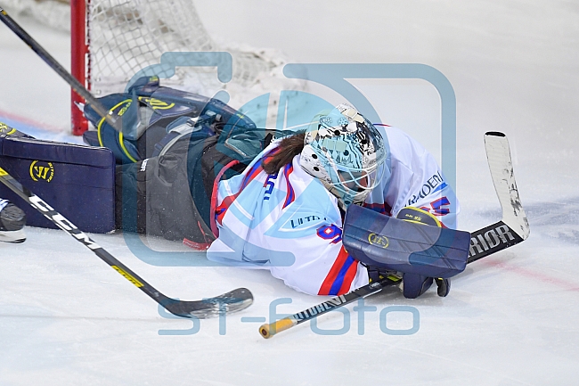 Eishockey, Frauen, DFEL, Saison 2020-2021, ERC Ingolstadt - ESC Planegg-Würmtal, 07.03.2021
