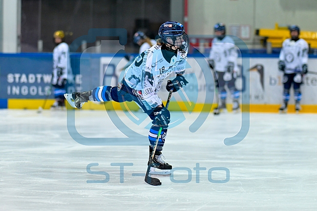 Eishockey, Frauen, DFEL, Saison 2025-2026, ERC Ingolstadt - ECDC Memmingen Indians, 25.01.2026