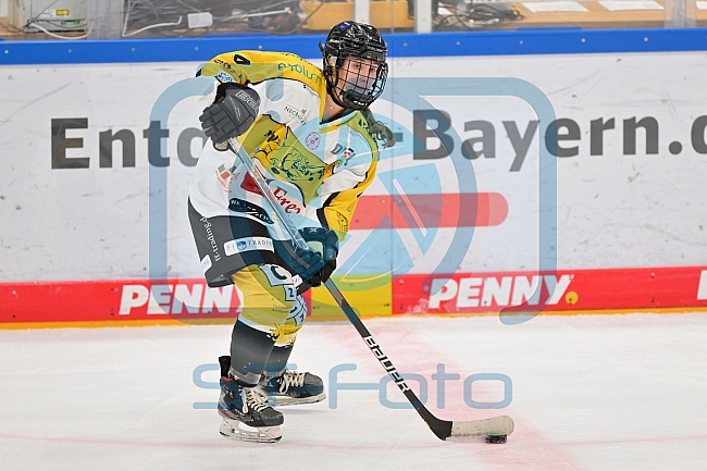 Eishockey, Frauen, DFEL, Saison 2022-2023, ERC Ingolstadt - Mad Dogs Mannheim, 20.11.2022