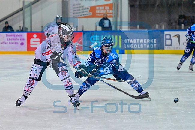Eishockey, Frauen, DFEL, Saison 2025-2026, Playoffs Halbfinale - Spiel 2, ERC Ingolstadt - HC Davos, 01.03.2026
