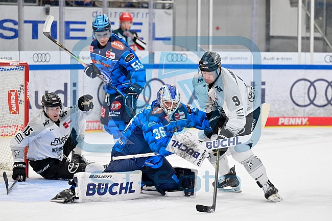 Eishockey, Herren, DEL, Saison 2025-2026, Spiel 16, ERC Ingolstadt - Kölner Haie, 31.10.2025