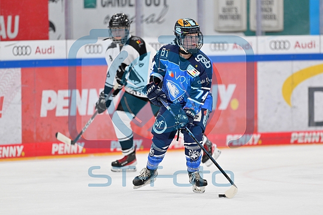 Eishockey, Frauen, DFEL, Saison 2023-2024, ERC Ingolstadt - Amsterdam Tigers, 06.01.2024