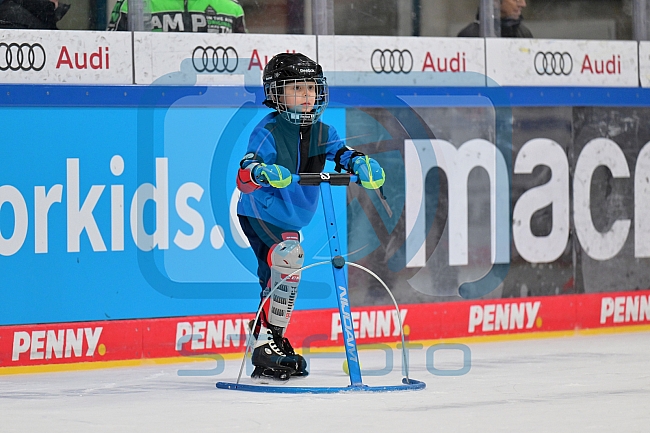 Eishockey, Herren, DEL, Saison 2023-2024, ERC Ingolstadt - Kids on Ice Day, 18.11.2023