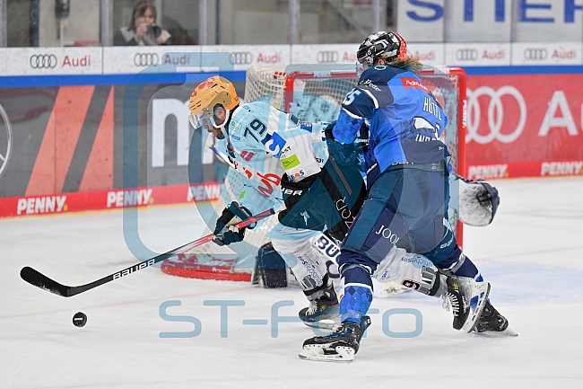 Eishockey, Herren, DEL, Saison 2023-2024, Playoffs Viertelfinale - Spiel 4, ERC Ingolstadt - Fischtown Pinguins , 24.03.2024