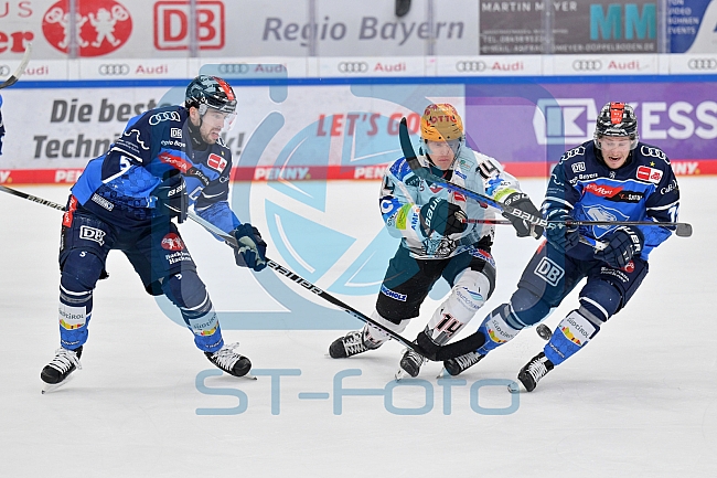 Eishockey, Herren, DEL, Saison 2023-2024, Playoffs Viertelfinale - Spiel 2, ERC Ingolstadt - Fischtown Pinguins , 20.03.2024