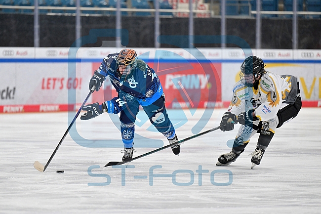Eishockey, Frauen, DFEL, Saison 2024-2025, ERC Ingolstadt - Mad Dogs Mannheim, 23.11.2024