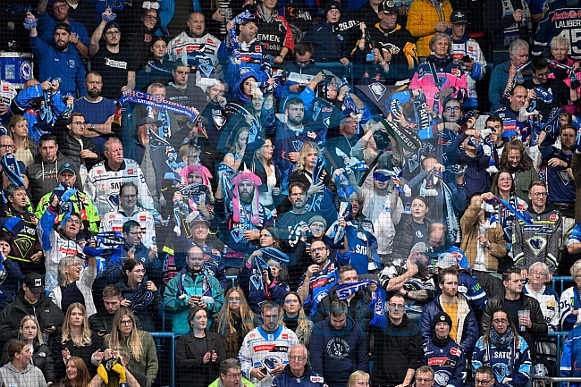 Eishockey, Herren, DEL, Saison 2025-2026, Spiel 16, ERC Ingolstadt - Kölner Haie, 31.10.2025