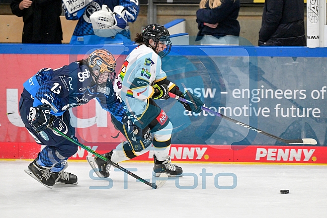 Eishockey, Frauen, DFEL, Vorbereitung, Saison 202-2025, ERC Ingolstadt - St. Pölten, 07.09.2024