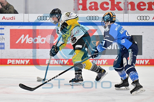 Eishockey, Frauen, DFEL, Saison 2023-2024, ERC Ingolstadt - Mad Dogs Mannheim, 18.02.2024