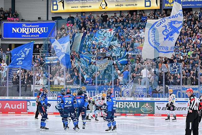 Eishockey, Herren, DEL, Saison 2023-2024, Playoffs Viertelfinale - Spiel 2, ERC Ingolstadt - Fischtown Pinguins , 20.03.2024