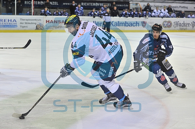 Straubing Tigers vs ERC Ingolstadt, Eishockey, DEL, Deutsche Eishockey Liga, Spieltag 28, 18.12.2016