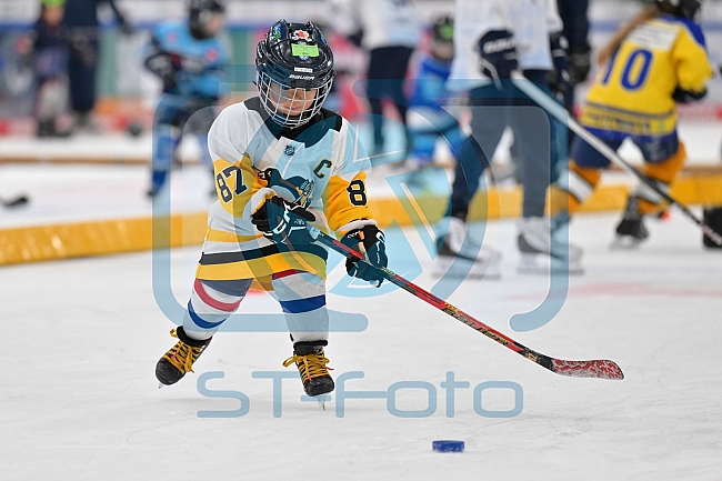 Eishockey, Herren, DEL, Saison 2023-2024, ERC Ingolstadt - Kids on Ice Day, 18.11.2023