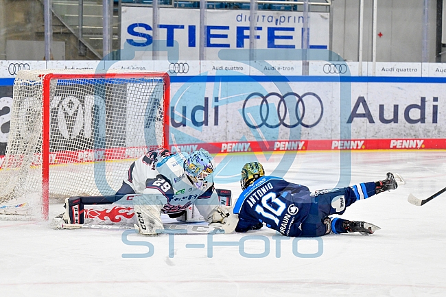Eishockey, Frauen, DFEL, Saison 2025-2026, ERC Ingolstadt - Eisbären Berlin, 18.01.2026