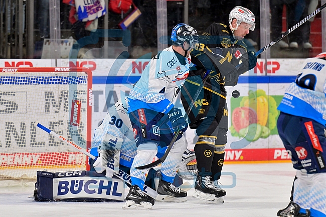 Eishockey, Herren, DEL, Saison 2024-2025, Playoffs Viertelfinale, Spiel 1, Nürnberg Ice Tigers - ERC Ingolstadt, 18.03.2025