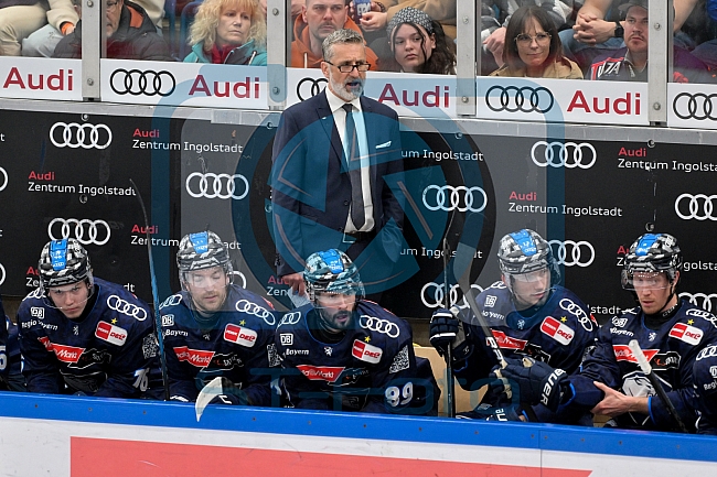 Eishockey, Herren, DEL, Saison 2024-2025, Playoffs Halbfinale, Spiel 1, ERC Ingolstadt - Kölner Haie, 02.04.2025