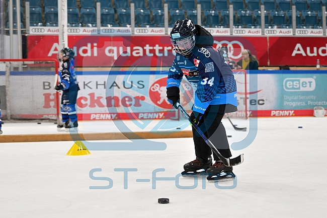 Eishockey, Herren, DEL, Saison 2024-2025, ERC Ingolstadt - Kids On Ice Day, 11.01.2025