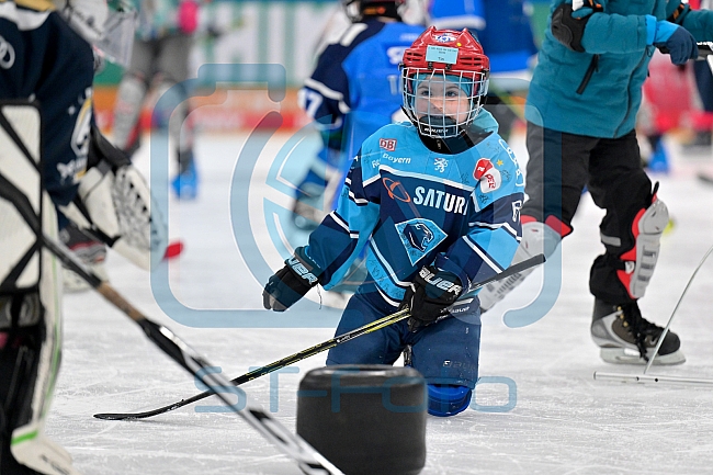 Eishockey, Saison 2025-2026, ERC Ingolstadt - Kids On Ice Day, 10.01.2026