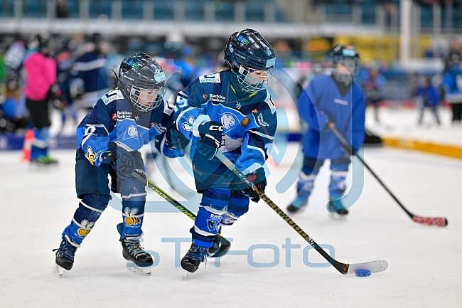 Eishockey, Saison 2025-2026, ERC Ingolstadt - Kids On Ice Day, 29.11.2025