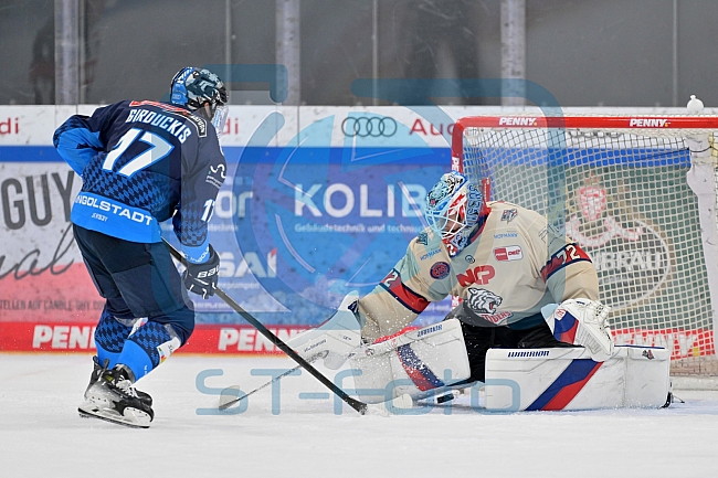 Eishockey, Herren, DEL, Saison 2024-2025, Vorbereitung, ERC Ingolstadt - Nürnberg Ice Tigers, 15.09.2024