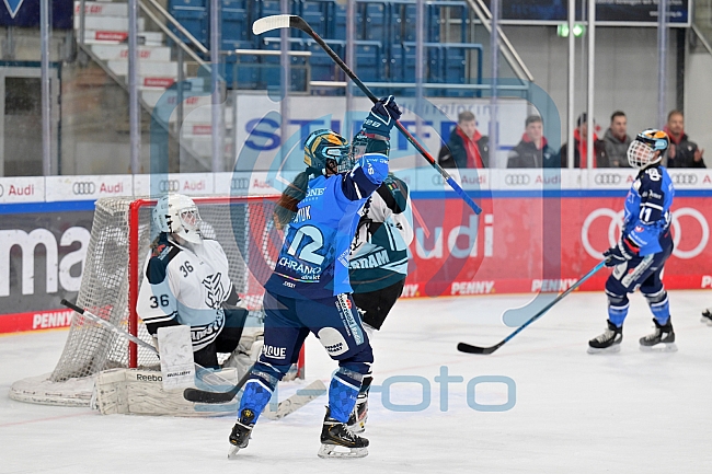 Eishockey, Frauen, DFEL, Saison 2023-2024, ERC Ingolstadt - Amsterdam Tigers, 06.01.2024