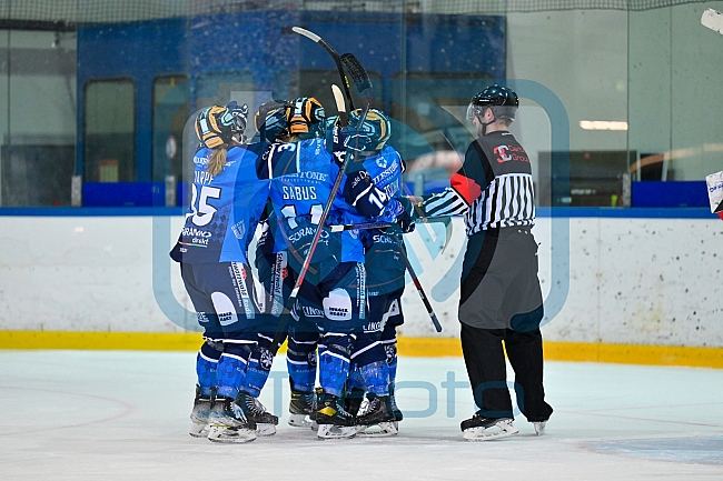 Eishockey, Frauen, DFEL, Saison 2023-2024, ERC Ingolstadt - ECDC Memmingen Indians, 21.01.2024