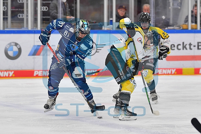 Eishockey, Frauen, DFEL, Saison 2021-2022, ERC Ingolstadt - Mad Dogs Mannheim, 23.10.2021