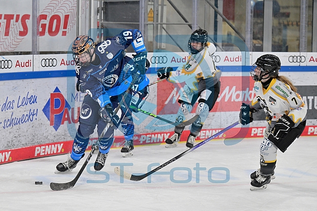 Eishockey, Frauen, DFEL, Saison 2024-2025, ERC Ingolstadt - Mad Dogs Mannheim, 23.11.2024