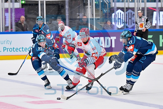 Hockey, Mens, CHL, Season 2025-2026, Regular Season, Game Day 6, ERC Ingolstadt - Odense Bulldogs, 15.10.2025