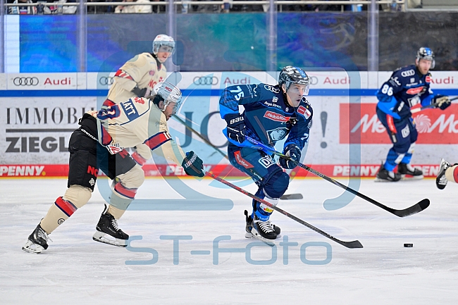 Eishockey, Herren, DEL, Saison 2024-2025, Playoffs Viertelfinale, Spiel 3, ERC Ingolstadt - Nürnberg Ice Tigers, 21.03.2025