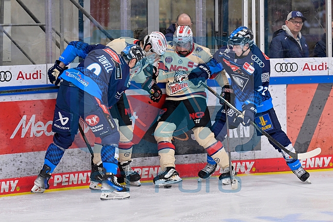 Eishockey, Herren, DEL, Saison 2024-2025, Playoffs Viertelfinale, Spiel 1, ERC Ingolstadt - Nürnberg Ice Tigers, 16.03.2025