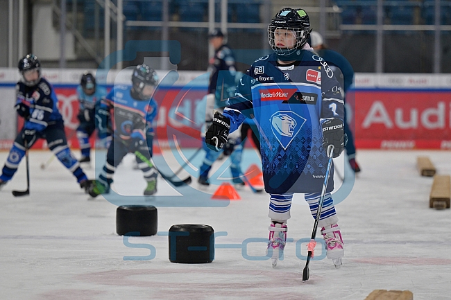 Eishockey, Herren, DEL, Saison 2024-2025, ERC Ingolstadt - Kids On Ice Day, 11.01.2025