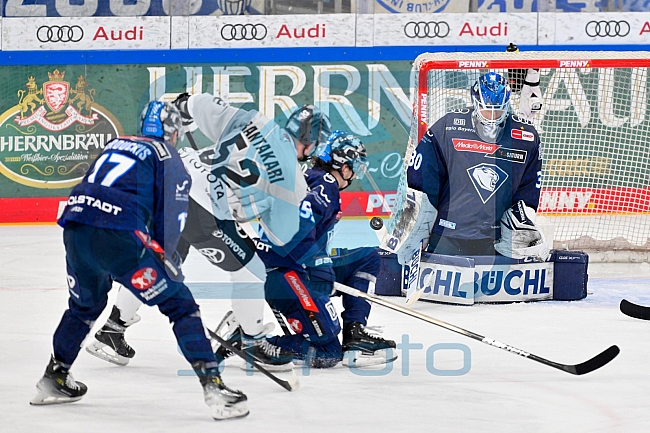 Eishockey, Herren, DEL, Saison 2024-2025, Playoffs Halbfinale, Spiel 1, ERC Ingolstadt - Kölner Haie, 02.04.2025