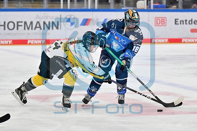 Eishockey, Frauen, DFEL, Saison 2023-2024, ERC Ingolstadt - Mad Dogs Mannheim, 18.02.2024