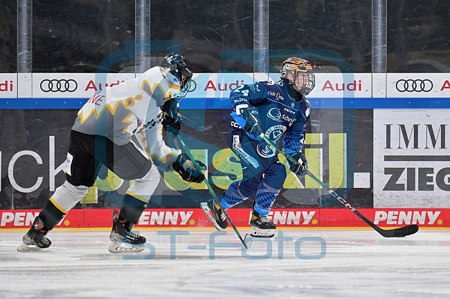 Eishockey, Frauen, DFEL, Saison 2024-2025, ERC Ingolstadt - Mad Dogs Mannheim, 23.11.2024
