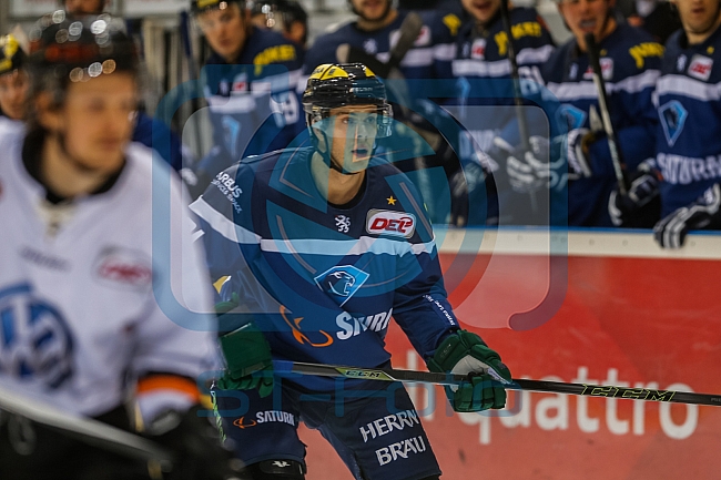 ERC Ingolstadt  - Grizzlys Wolfsburg, Eishockey, DEL, Deutsche Eishockey Liga, Spieltag 37, 13.01.2017